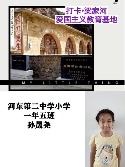 哈尼和她的宠物们